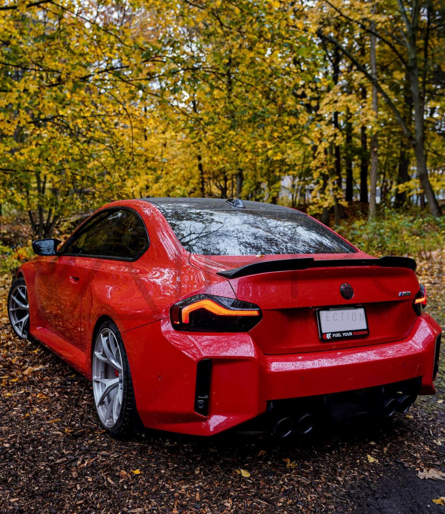 BMW M2 Rear Reflector Tint Overlays G87