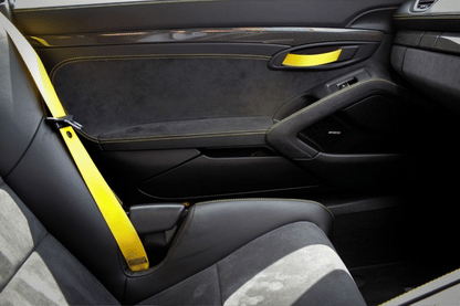 Porsche Cayman Boxster Spyder 718 981 Carbon Fibre Interior Door Trims Paint Protection Film Kit.
